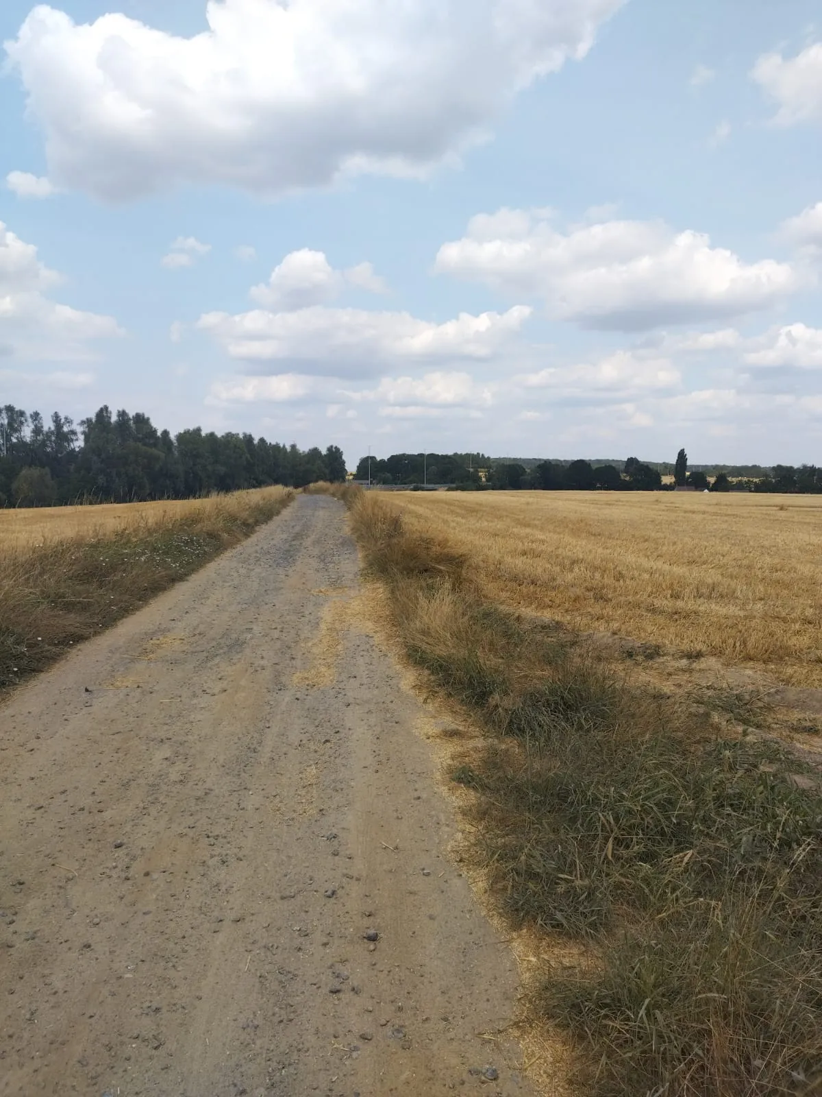 Un chemin rectiligne entre deux champs