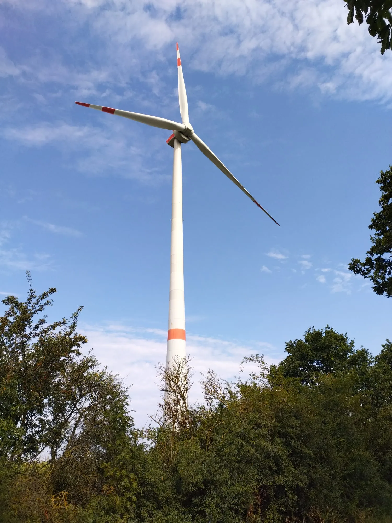 Une grande éolienne se dresse au-dessus des arbres sous un ciel bleu