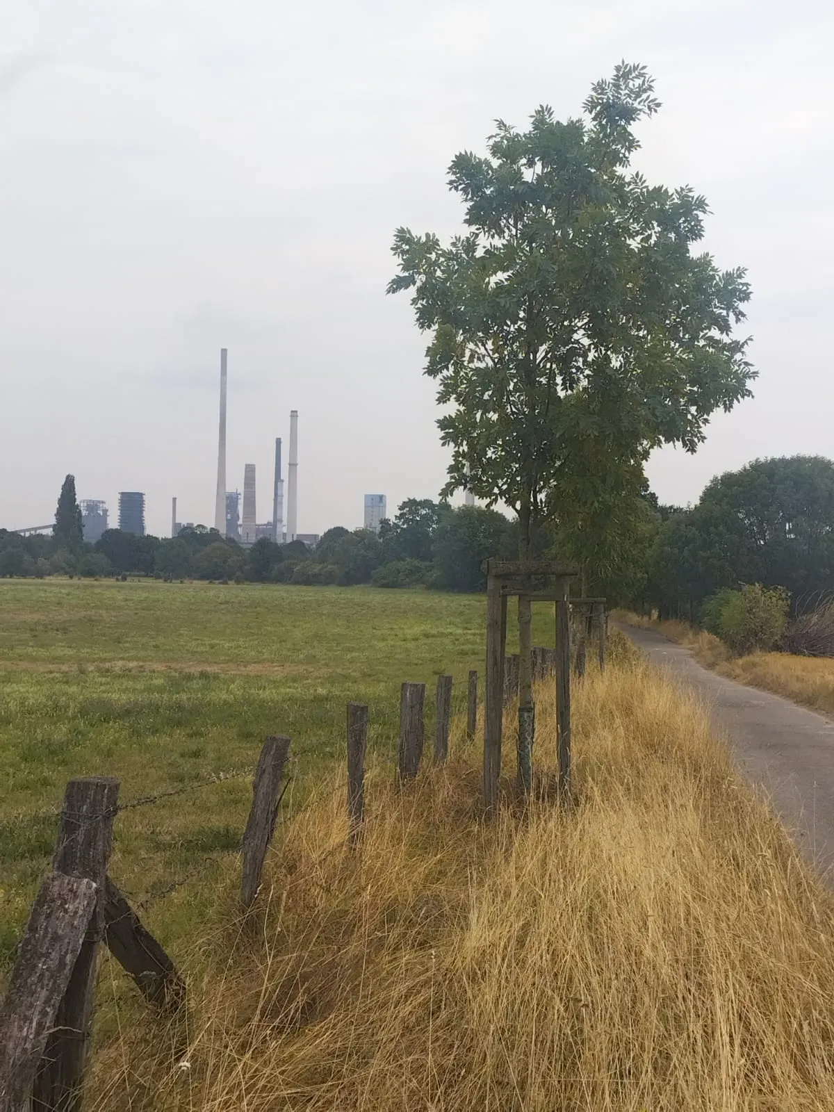 Un chemin entre les champs avec des installations industrielles à l’horizon