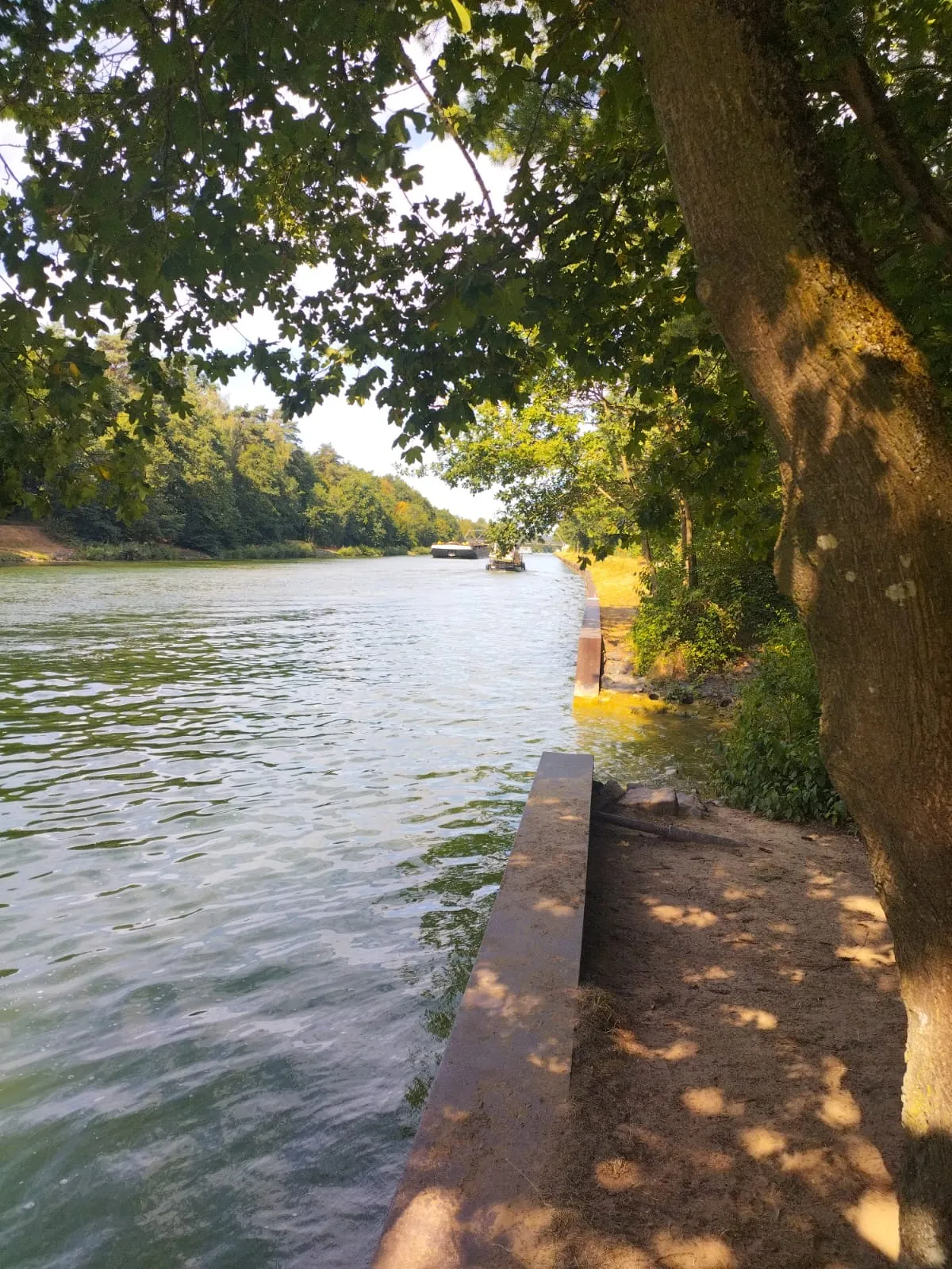 Un chemin ombragé longe un canal navigable