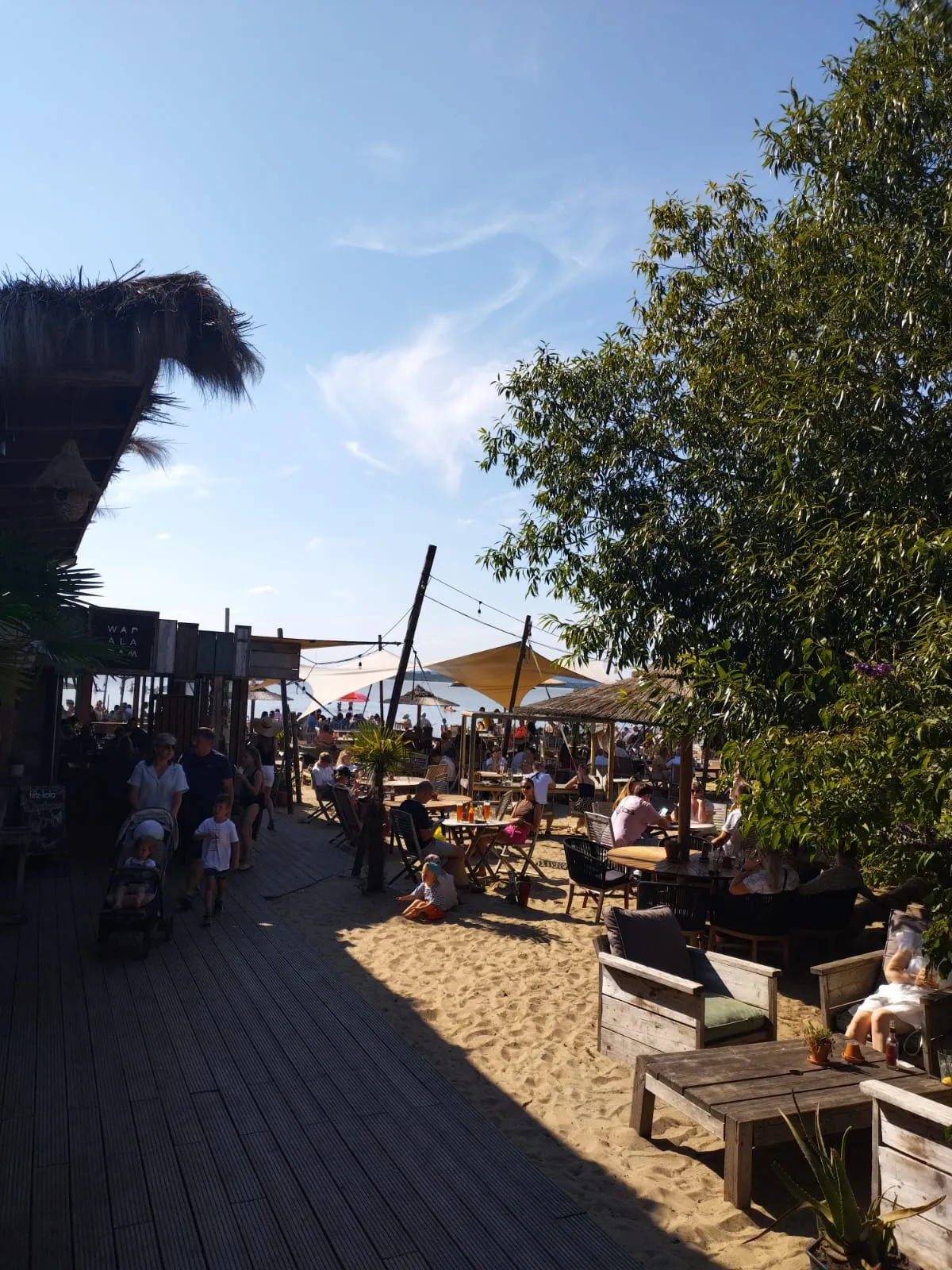 Des tables installées sous des arbres forment une terrasse très fréquentée près du lac