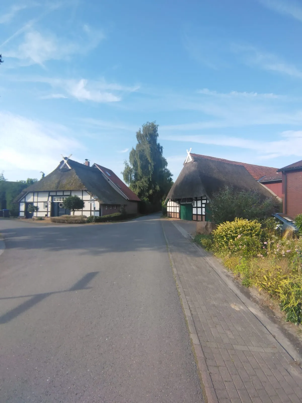 Une rue calme longe des maisons dans un village allemand