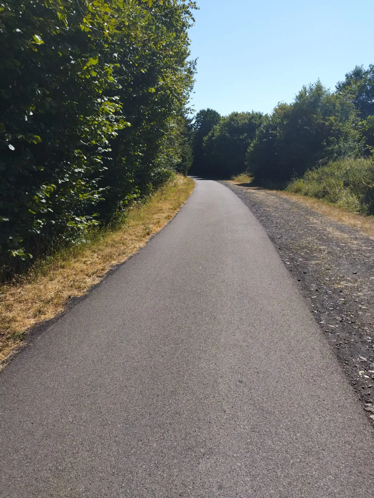 La voie cyclable goudronnée qui traverse un secteur boisé